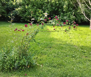 Screenshot 2025-06-22 at 9.06.21 PM.png