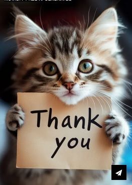 pic--Kitty--Cute--Holding-Up--THANK-YOU.jpg