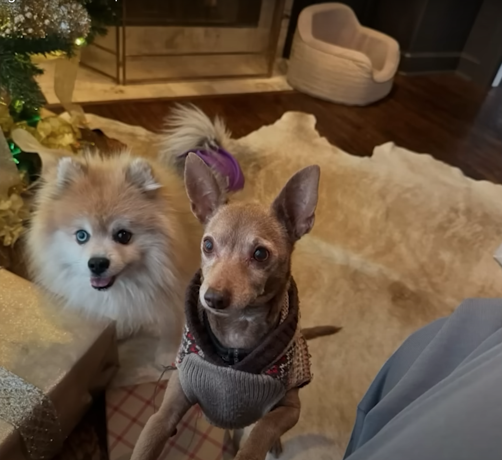 Screenshot 2025-06-29 at 1.55.59 PM.png