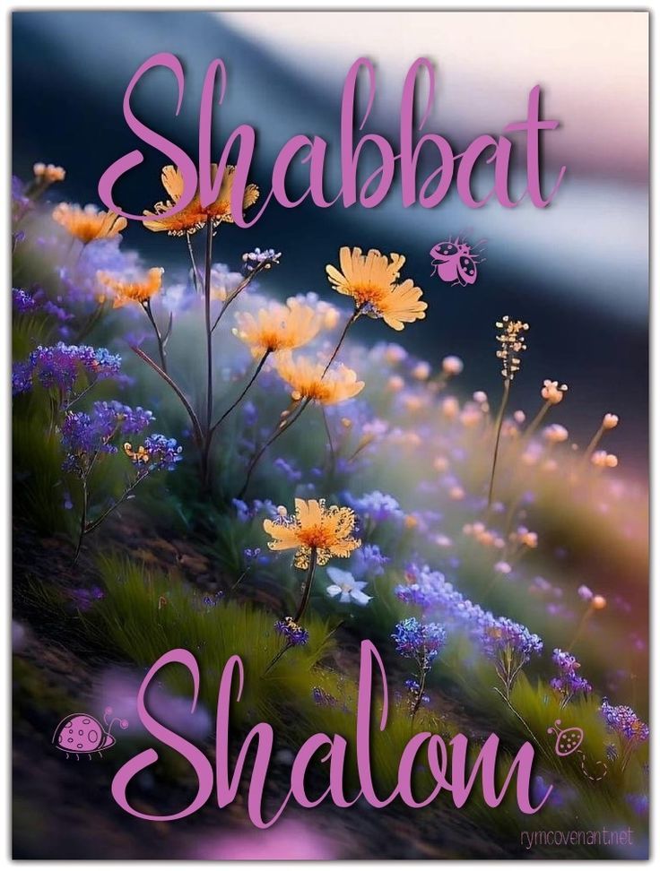 Shabbat Shalom.jpeg