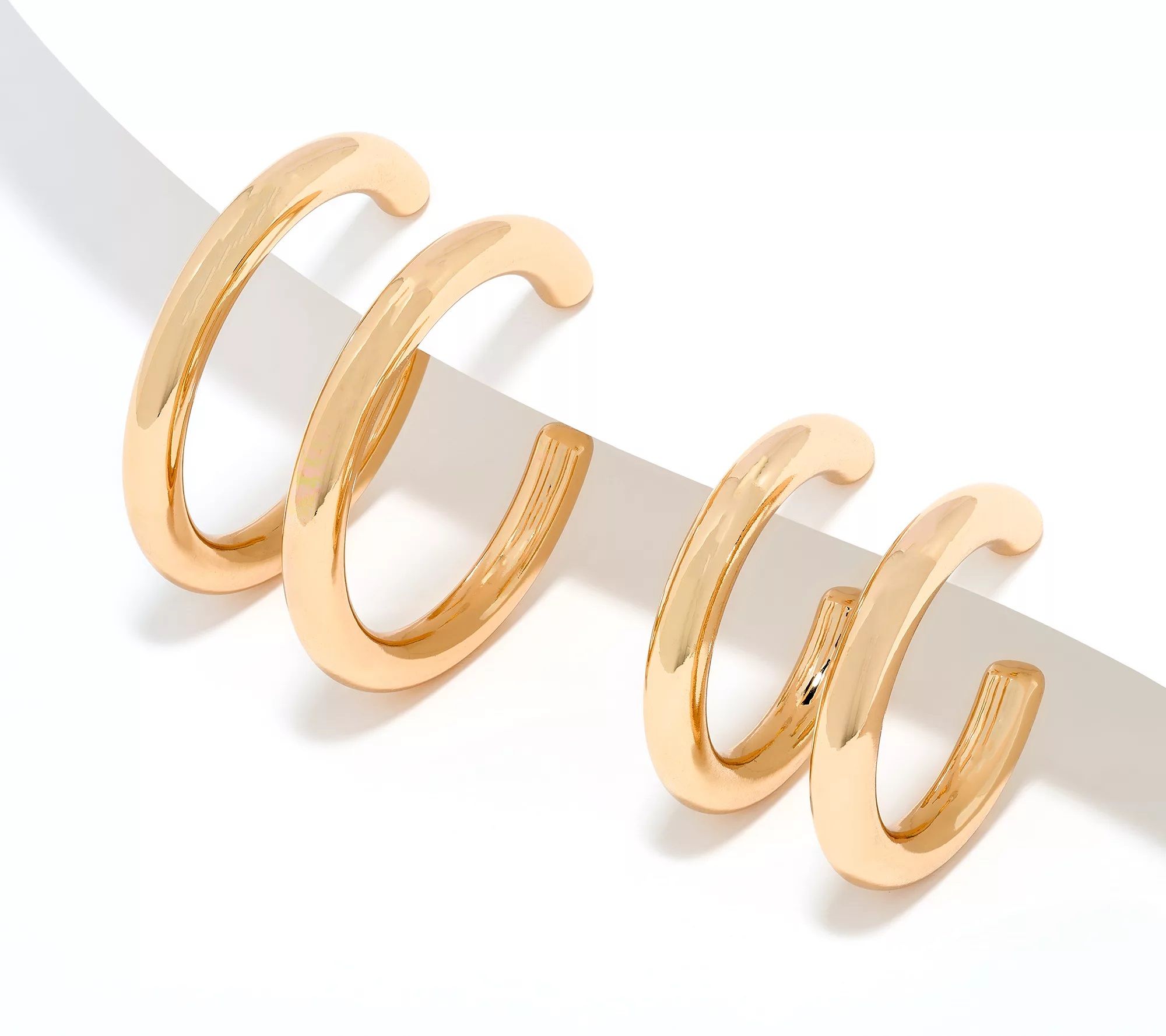 J-448550 Joan Rivers Set of 2 Round Hoop Earrings.jpg