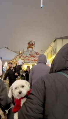 Screenshot 2025-11-18 at 9.40.45 PM.png