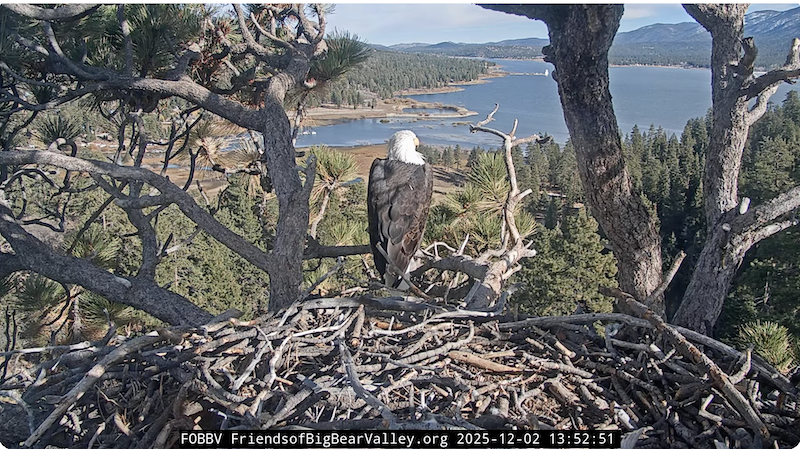 Screenshot 2025-12-02 at 4.53.09 PM.png