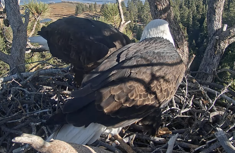 Screenshot 2025-12-12 at 5.00.45 PM.png