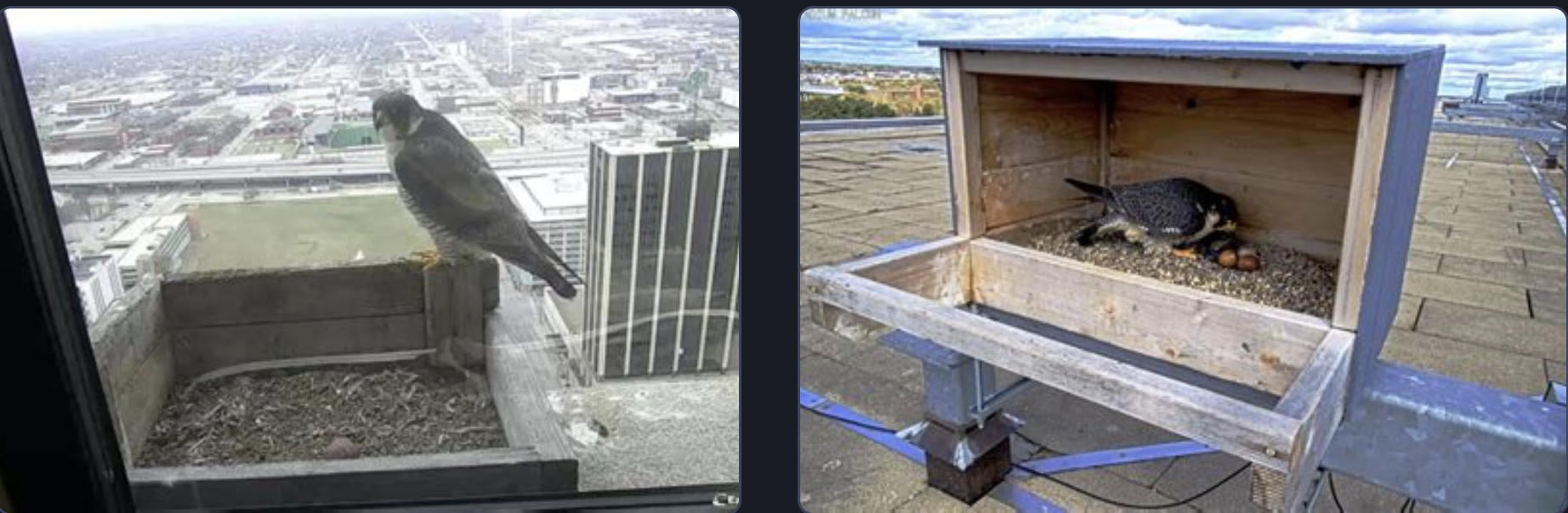 Screenshot 2025-12-13 at 11.13.09 PM.png