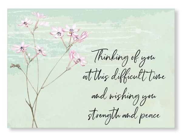 sympathy2.jpg