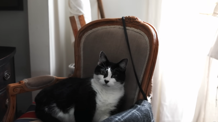 Screenshot 2025-12-22 at 8.18.50 PM.png