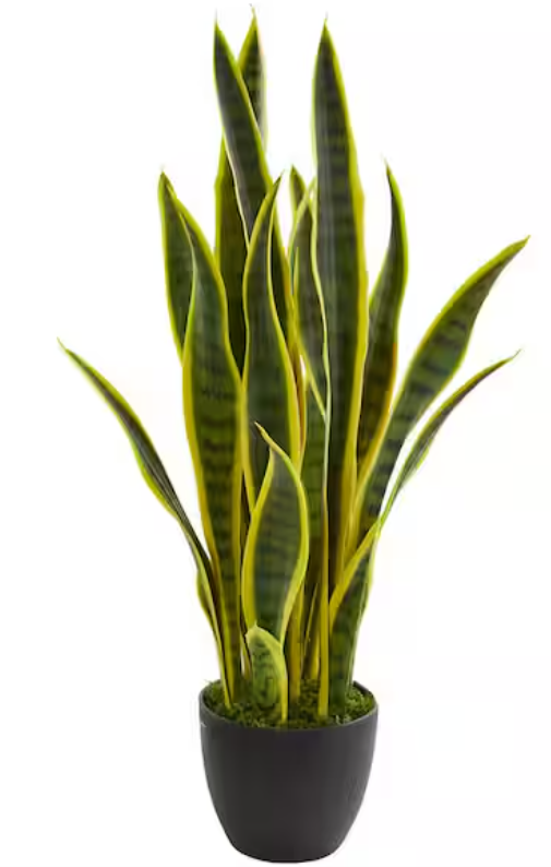 Screenshot 2025-12-29 2.31.58 PM.png