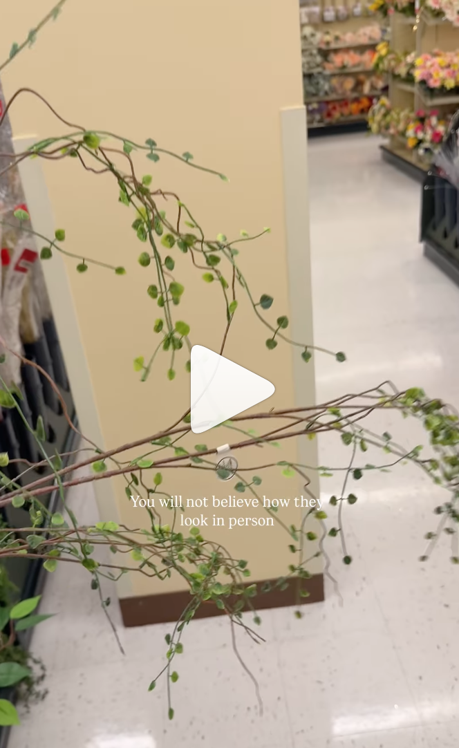 Screenshot 2025-12-30 at 12.49.29 PM.png