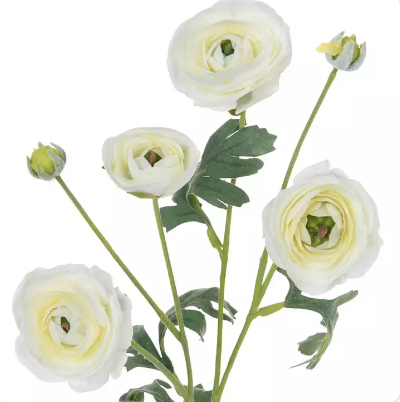 Screenshot 2025-12-30 at 1.19.08 PM.png