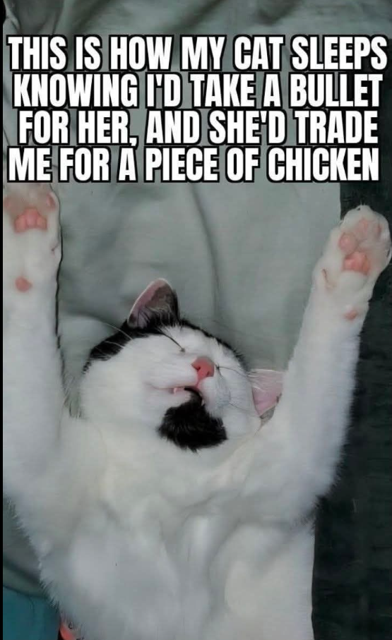 Screenshot 2026-01-01 221857.png