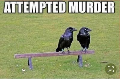 Screenshot 2026-01-09 at 10.53.52 PM.jpeg