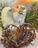 IMG_4433.jpeg