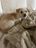 IMG_5575.jpeg
