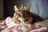cat with.jpg