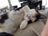 3fe95920-2adc-4c45-bef3-965bc83f833c-1_all_13.jpg