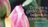 IMG_2237.jpeg