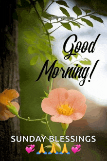 IMG_2251.gif