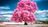 IMG_2258.jpeg
