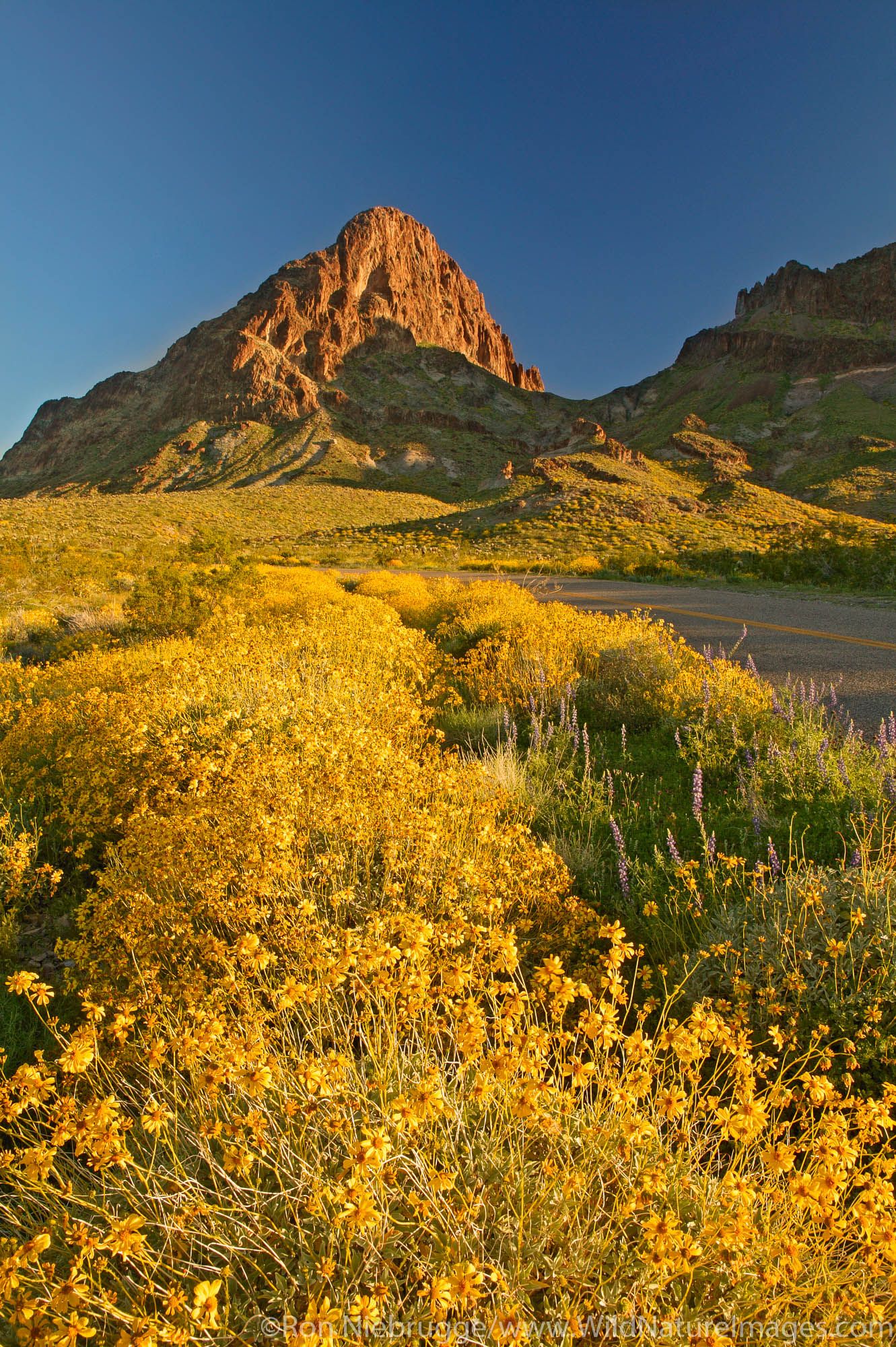 050312-021-Route-66.jpg