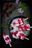 tayberry rose geranium buttermilk popsicles-15.jpg