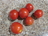 First Tomatoes 'Garden Gem'.JPG