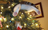 Christmas-cat-in-tree-butt.jpg