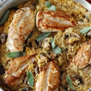 Baked-Chicken-and-Orzo-1-300x300.jpg