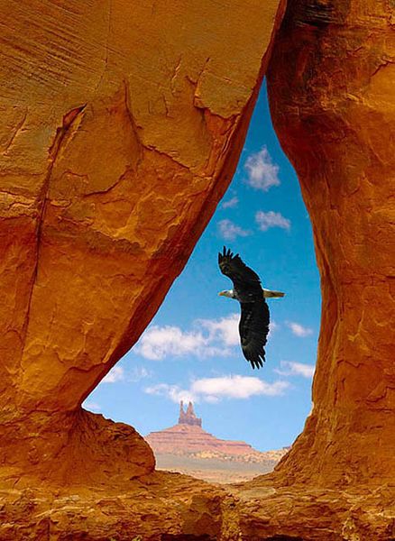 Navajo Teardrop Arch, Arizona.jpg