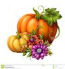 autumn-pumpkins-seasonal-flowers-illustration-isolated-white-background-orange-yellow-green-halloween-clip-art-44442816.jpg