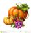 autumn-pumpkins-seasonal-flowers-illustration-isolated-white-background-orange-yellow-green-halloween-clip-art-44442816.jpg