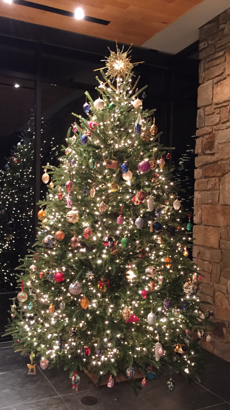 DD Christmas Tree 2015.PNG