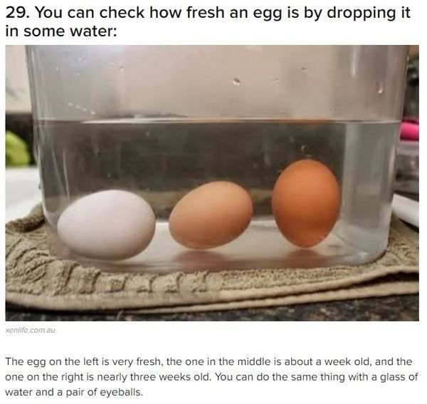 Eggs.JPG