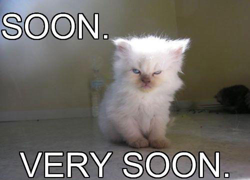 soon-very-kitten.jpg