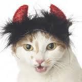 Cat devil.jpg
