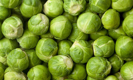 Sprouts