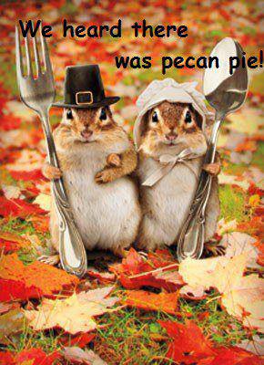 thanksgiving-chipmunks.jpg