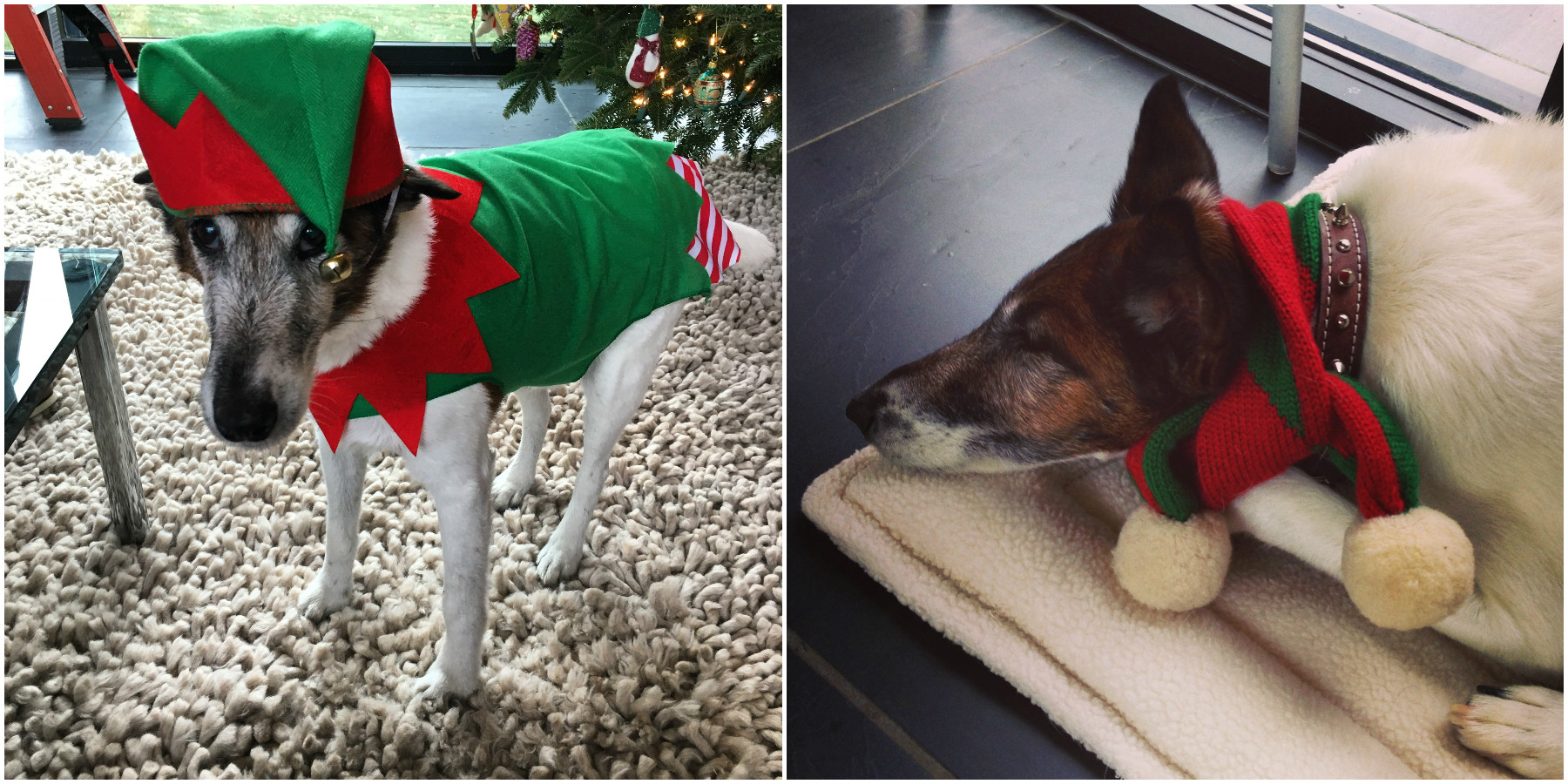 Roscoe Elf Costume Matrix.jpg