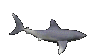 SharkE