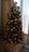 3 Christmas trees,  December 2016 006.JPG