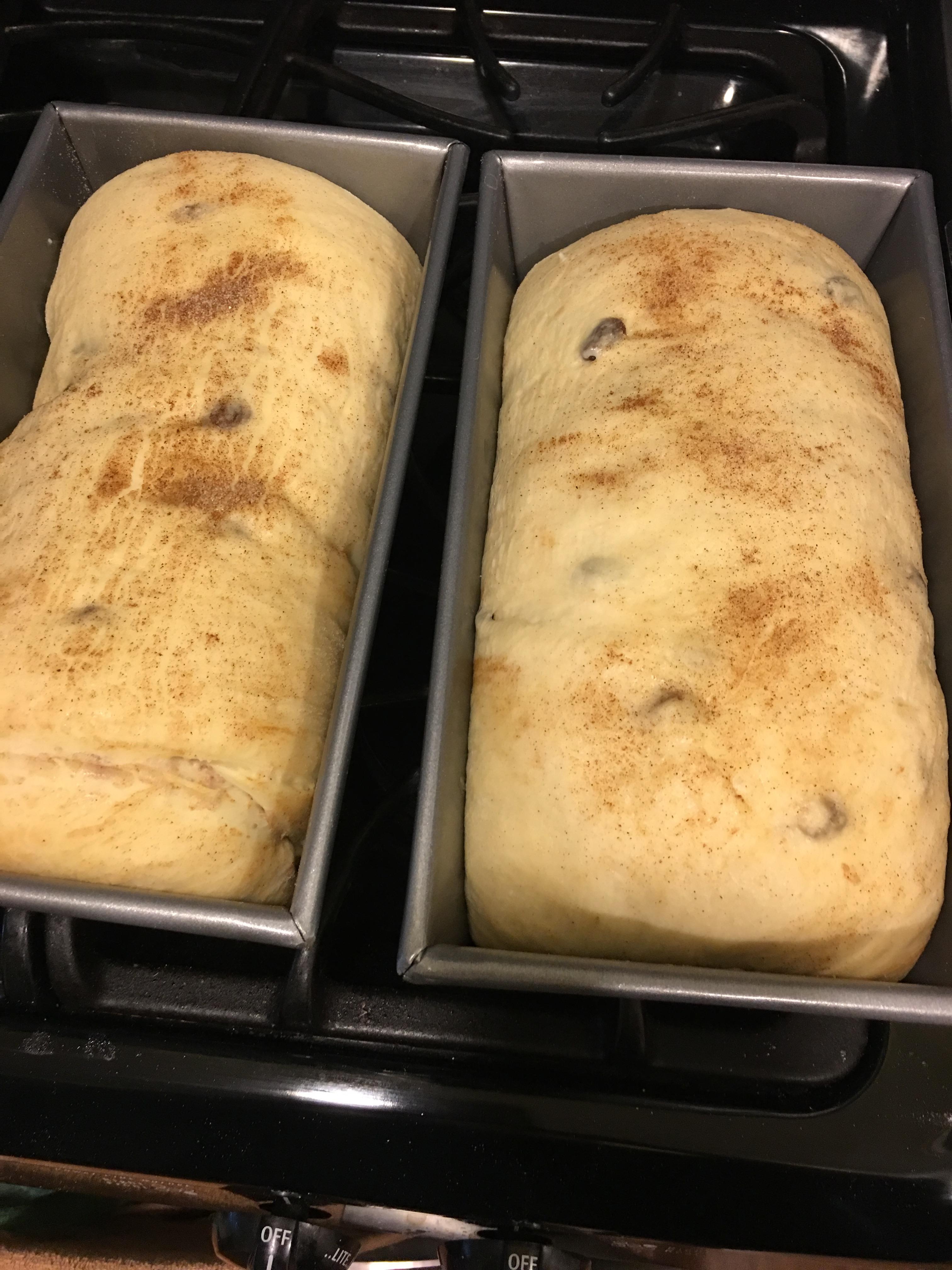 cin raisin loaves unbaked 2016.JPG