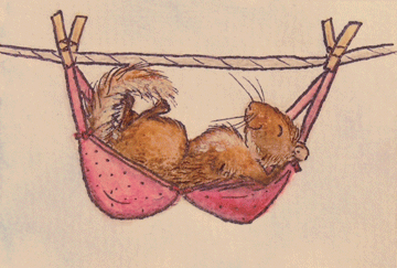 gerbil-hammock.gif