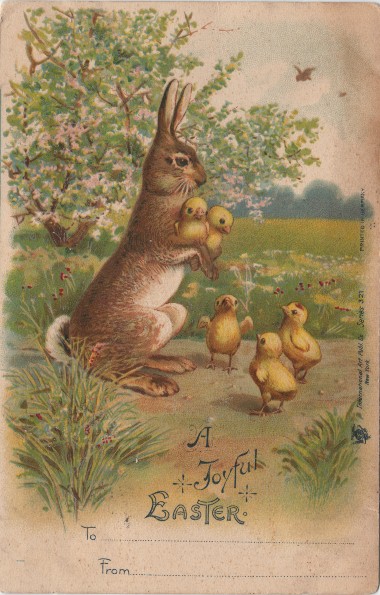 Bunny and chicks.jpg