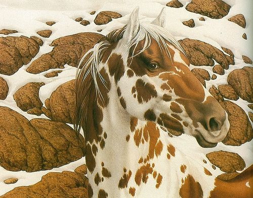 Hidden image horse