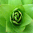 avatars-flowers-and-nature-885351.gif