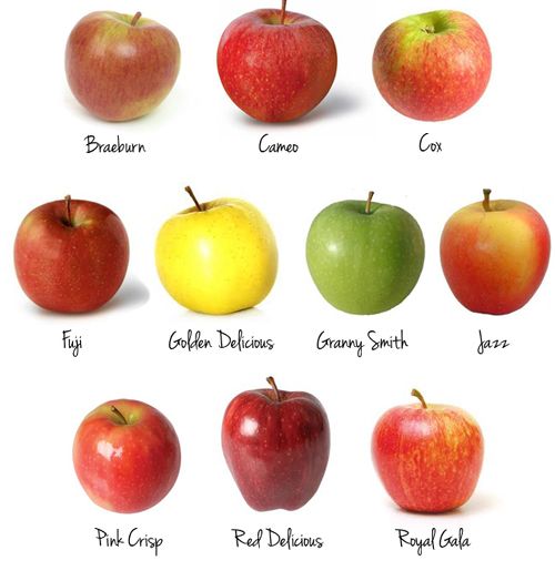 Apples