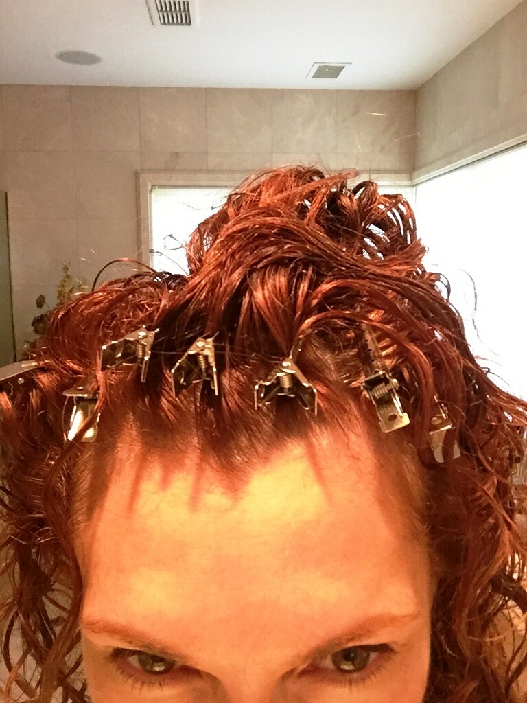 albanycurlyhairclips.jpg