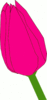 thumb_pink_tulip.png