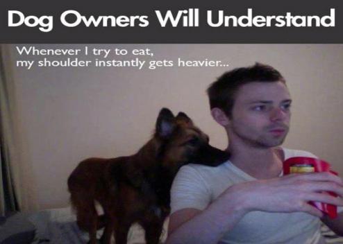Dog owners.jpg