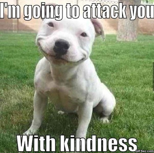 Dog kindness.jpg